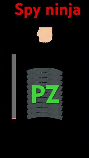 The day one, the spy ninjas defeated project, Zorgo