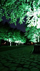 21K views · 4.5K reactions | Już wkrótce ulice rozświetlą… drzewa. ✨ Bioluminesencja to przyszłość oświetlenia. Bez prądu. Bez latarni. Czysta natura. #ciekawostki #ciekawe #dlaciebie #fakty #historia #polska #nauka #technologia | Ciekawsfera | Facebook