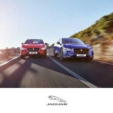 アハ体験 / 初級編 | #JaguarAtHome