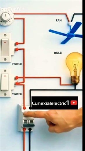 how to meian cercut breaker to blub and fan conaction #electrical #Lunexiaelectric #shortsviral