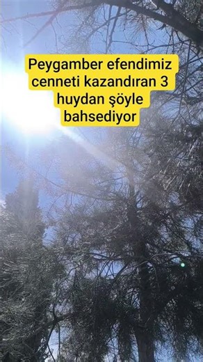 peygamber efendimiz cenneti kazandıran 3 huydan şöyle bahsediyor🤲♥️#öneçıkar #keşfet