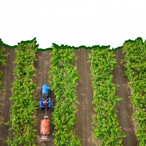 Gates Foundation India on Instagram: "Agri Stack is revolutionizing Indian agriculture. Through data and digital services, it is providing farmers with easier access to quality inputs, personalized advice, and seamless market interactions. It plays a pivotal role in modernizing and optimizing agriculture in India, acting as a catalyst to India’s progress. #IndiaRisingTogether - Accelerating Progress #Agriculture #Development #Progress #SDGs"