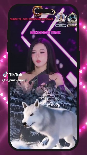 Pink Venom Concert: Celebrating the Family Spirit