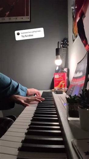 Für Elise - piano cover