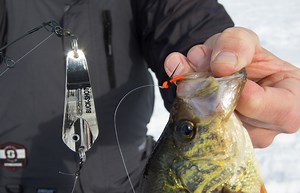 Video: Late-Ice Crappie Success with Flashers and Droppers | OutdoorHub
