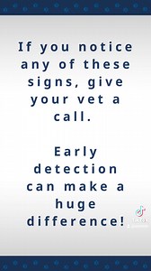 Wondering if your pet might have cancer? 🐾 Here's a list of the most common signs from our Oncology team! #PetCancerAwarenessMonth #AERCOncology #pethealth #veterinary #aercmn | Animal Emergency & Referral Center of Minnesota