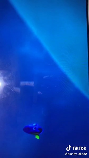 Dory and Friends Reunite in Heartwarming Disney Moment