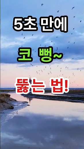 5초만에 코뻥 뚫는 법~ #코뚫는법 #코막힘 #코막힘해결 #지압 #영향혈 #생활꿀팁 #5초컷#비염꿀팁#막힌코 #건강정보 #혈자리 #숙면 #숨쉬기 #즉각효과 #꿀잠 #코건강 #비염