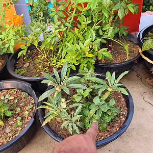 121K views · 2.6K reactions | In this video, I’m sharing my top tips...