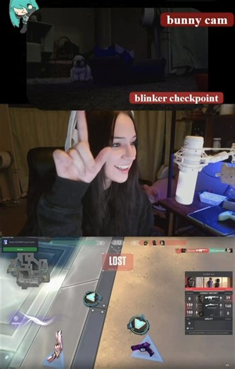 bunny cam best decision of my life #bunny #fypシ #streamer #gaming #rabbitsoftiktok