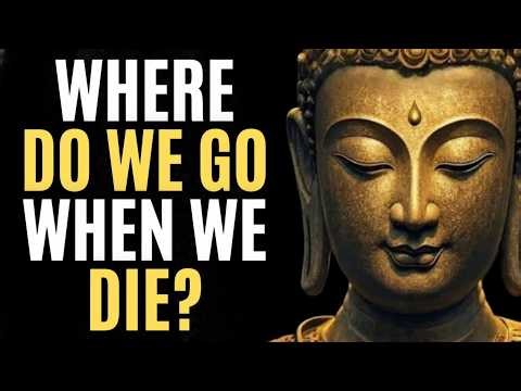 Buddha’s 31 Realms of Existence Explained Simply | Zen Wisdom for Relaxation