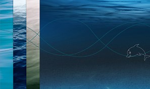 Add life to Adobe Stock graphics in Animate