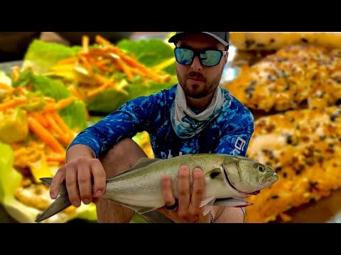 Everyone Hates This Fish — Until It’s Cooked Like THIS (Bluefish Catch & Cook)