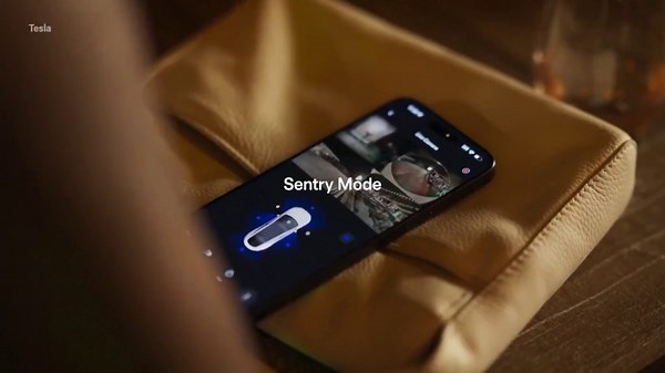 Tesla reveals cheaper versions of Model 3 and Model Y