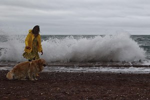 Met Office maps show yellow wind warning as UK gales reach almost 80mph