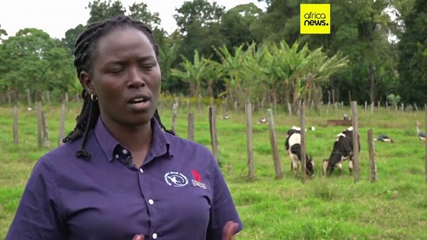 The Pride of Africa: Efforts underway to protect Africa's endangered grey crowned crane