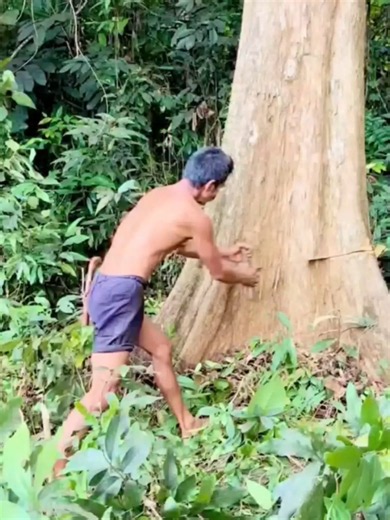 ada di#kajang#tanah#toa bulukumba Sulawesi Selatan