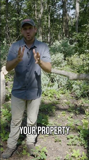 Habitat Management | Create Perfect Deer Bedding!