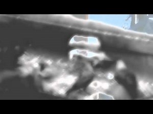 Blockhead: The Music Scene (The El-P Remix)