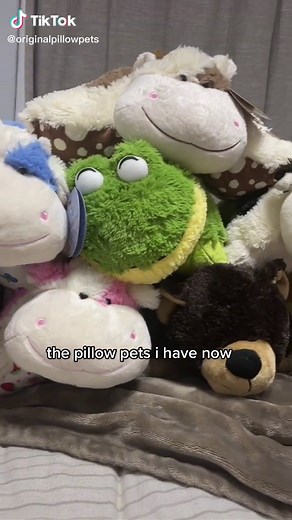 The Original Pillow Pet: A Nostalgic Throwback to the 2000s!