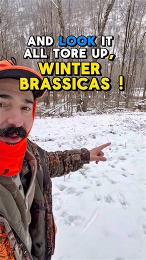 Last Day of Deer Season | Winter Food Plot 🌱🦌