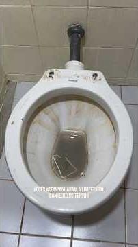 The full video of the bathroom cleaning done by Luiz Limpei is on my Instagram: @nathaliabreuu