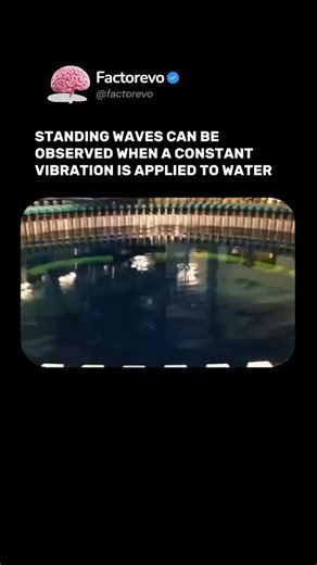 🇺🇸FACTOREVO | FACTS on Instagram: "Standing waves on water form when vibrations cause waves to reflect and interfere in such a precise way that some points remain completely still while others oscillate with maximum amplitude. This happens when the frequency of the vibration matches the natural resonance of the water or the container, creating a stable wave pattern. The waves appear to freeze in place, even though they are produced by continuous motion and interference. This phenomenon can be 
