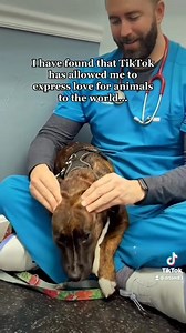 This is a Frenchton - a cross between the Boston Terrier and French Bulldog breeds. #drtom #patienceformypatients #veterinarian #veterinariansoftiktok #viral #Love #vetlife #vetmed #fyp #fyp @goclove | Thomas Hamilton