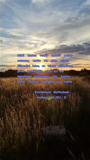 Raamattu / Uusi Testamentti - Evankeliumi Matteuksen mukaan 3 LUKU :11