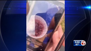 Sigma Phi Epsilon fraternity kicked out of UM due to claims of members spiking drinks with drugs - WSVN 7News | Miami News, Weather, Sports | Fort Lauderdale