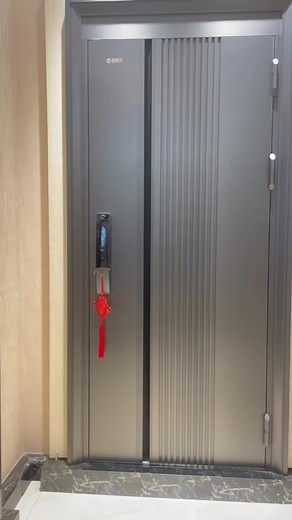 Innovative Entrance Door Designs for Enhanced Security