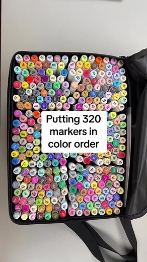 Organizing 320 Ohuhu Markers: A Satisfying Compilation