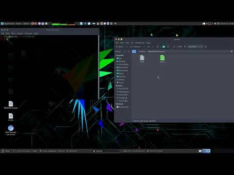 How to edit binary files | Reverse engineering