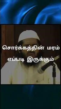 What does the tree of paradise look like?