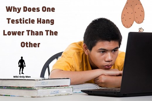 Why Does One Testicle Hang Lower Than The Other | Know Interesting Facts