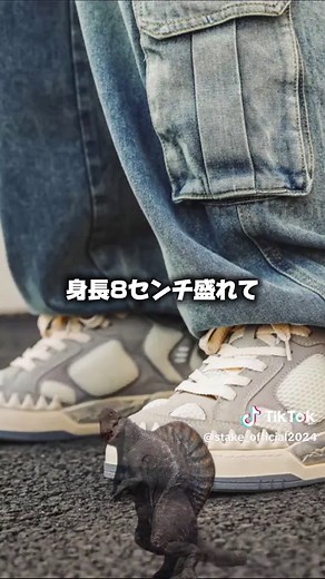 恐竜みたいなスニーカー？！ #厚底スニーカー #スタイルアップスニーカー #スタイルアップスニーカー #低身長コーデ #rickowens