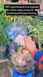 8.6K views · 39 reactions | FREE Liquid Compost from vegetable kitchen waste at home for Gardening and Organic Farming | Mission Green Mumbai | Facebook