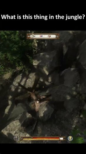 What was this thing used for in medieval times? #gaming #kcd #jungle #medieval