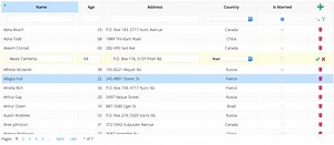 Open Source Editable Datagrid