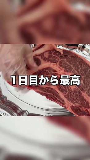モビリティリゾートもてぎで家族旅行