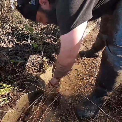 Lawn Care Juggernaut on Reels