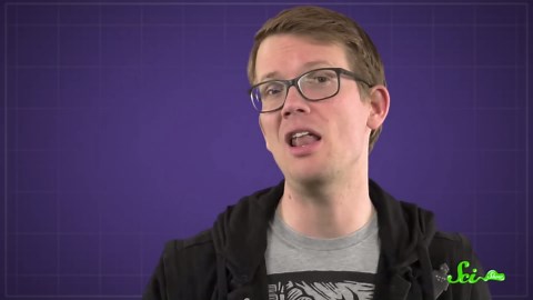 Are the bees okay now?