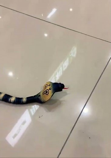 Rc snake | new remote control