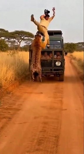 Lion Attacks Man in Seconds | Shocking Wildlife Encounter
