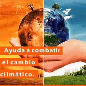 12 reactions | La AGRICULTURA DE CONSERVACIÓN es un sistema de...