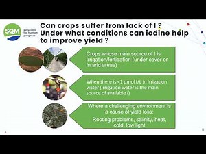 Webinar - How Iodine Supports Avocado Growth