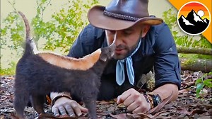 Playtime with a skunk! #wildlife #skunk #animals #coyotepeterson | Coyote Peterson