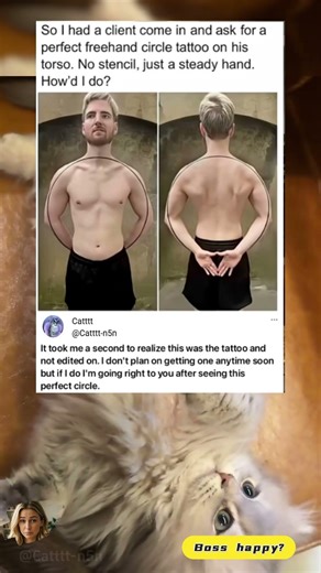 This is Catttt！laugh out loud.#funny#funnymemesvide0s #fyp #memes