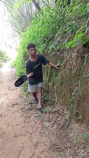 Exploring the Magic of BalliBot: The Smart AI Bot