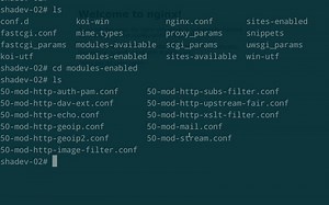 Nginx 从0到1-搭建 Web 服务器（1）